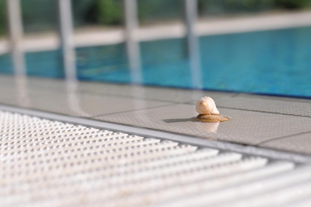 Aqua Wellness Apartments Hajduszoboszlo Room photo